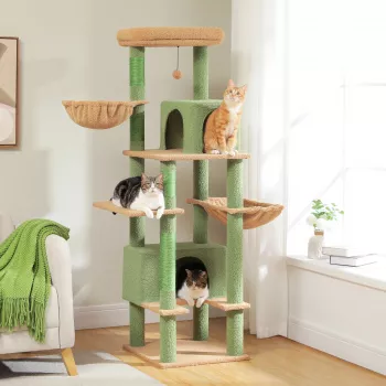 Best Cat Tree for Indoor Cats: Size, Comfort & Scratch